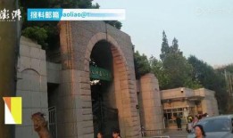 杭州临平爆料事件真相视频,真相视频背后的真相披露